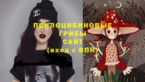 спайс Алзамай