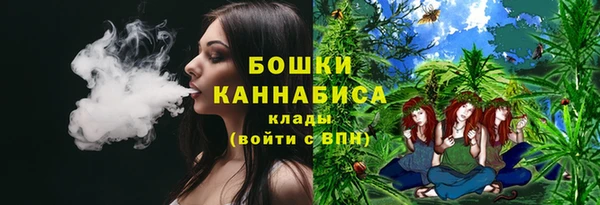 тгк Новозыбков